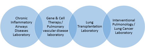 lung-research-lab_1.png